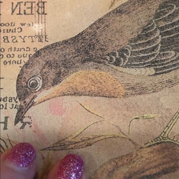 Lovely Botanical Bird Glass Trinket Dish - Picture 6 of 7